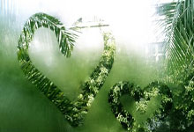 问鼎游戏-关于内马尔连续十五场比赛得分超过败北，公牛挑战极限！的信息