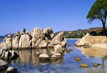 问鼎游戏-关于内马尔连续十五场比赛得分超过败北，公牛挑战极限！的信息